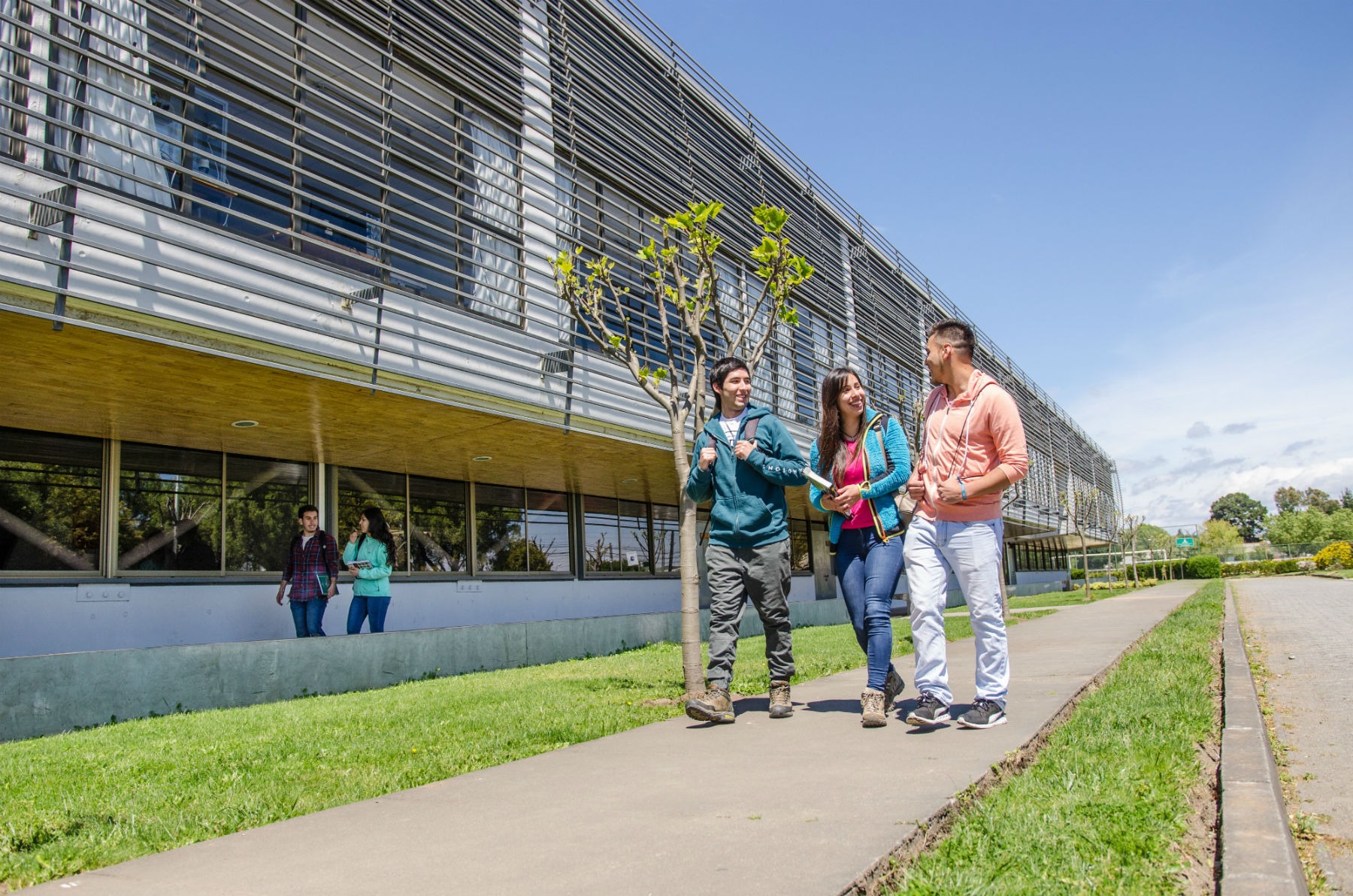 Estudiantes USM Se Adjudican Fondos Para Desarrollar Iniciativas De Investigación - Universidad ...